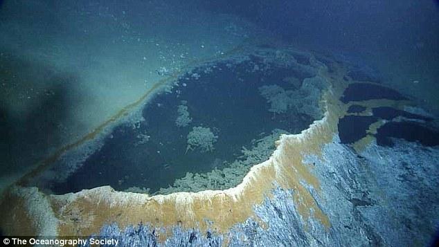 墨西哥湾海底“死亡之池”:生物进入必死无疑(图)