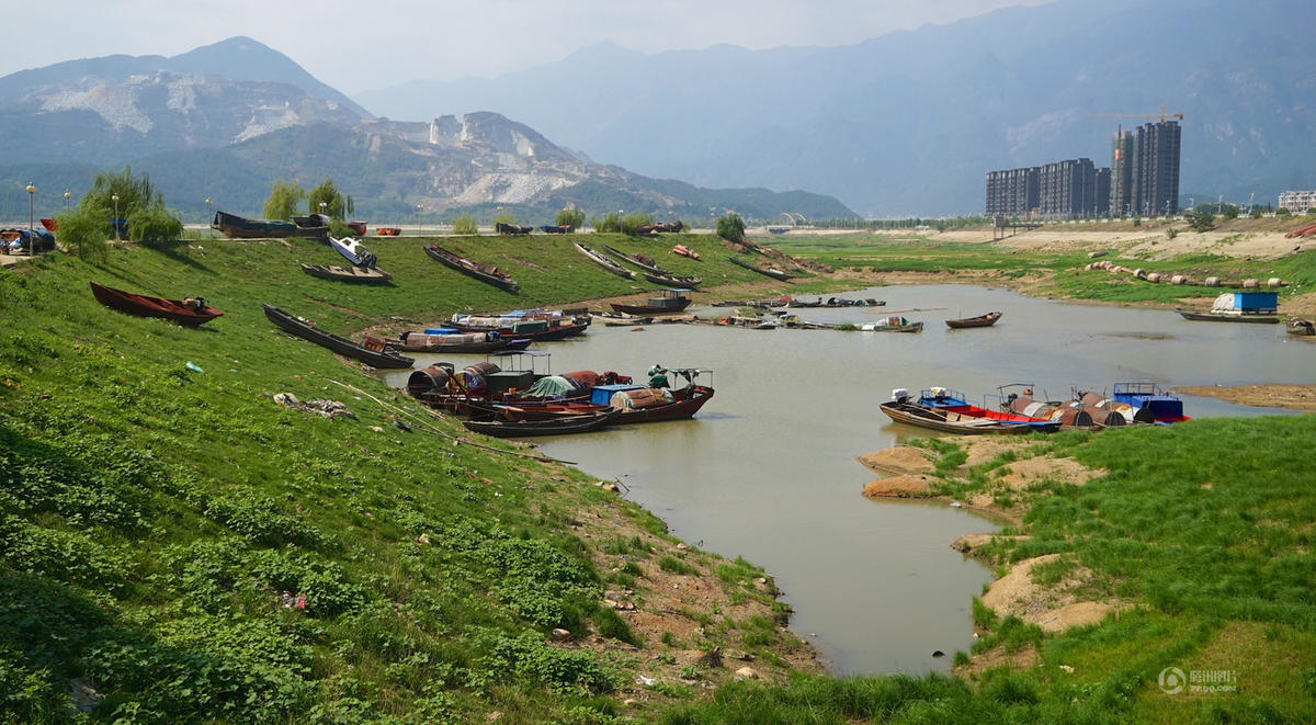 中国最大淡水湖鄱阳湖变“草原” (高清组图)