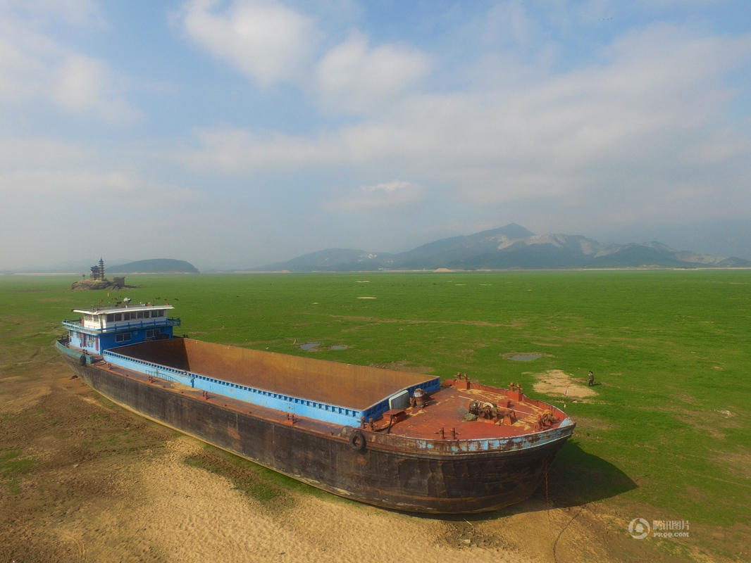 中国最大淡水湖鄱阳湖变“草原” (高清组图)