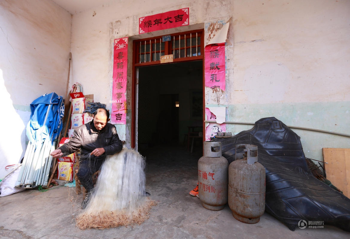 中国最大淡水湖鄱阳湖变“草原” (高清组图)