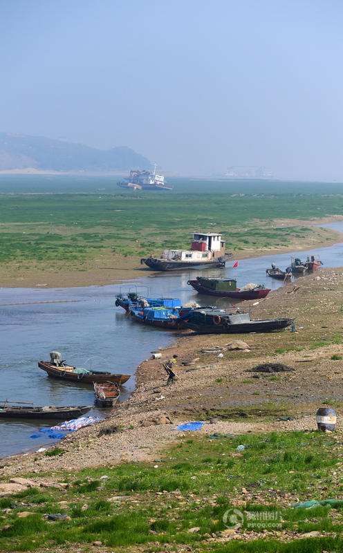 中国最大淡水湖鄱阳湖变“草原” (高清组图)