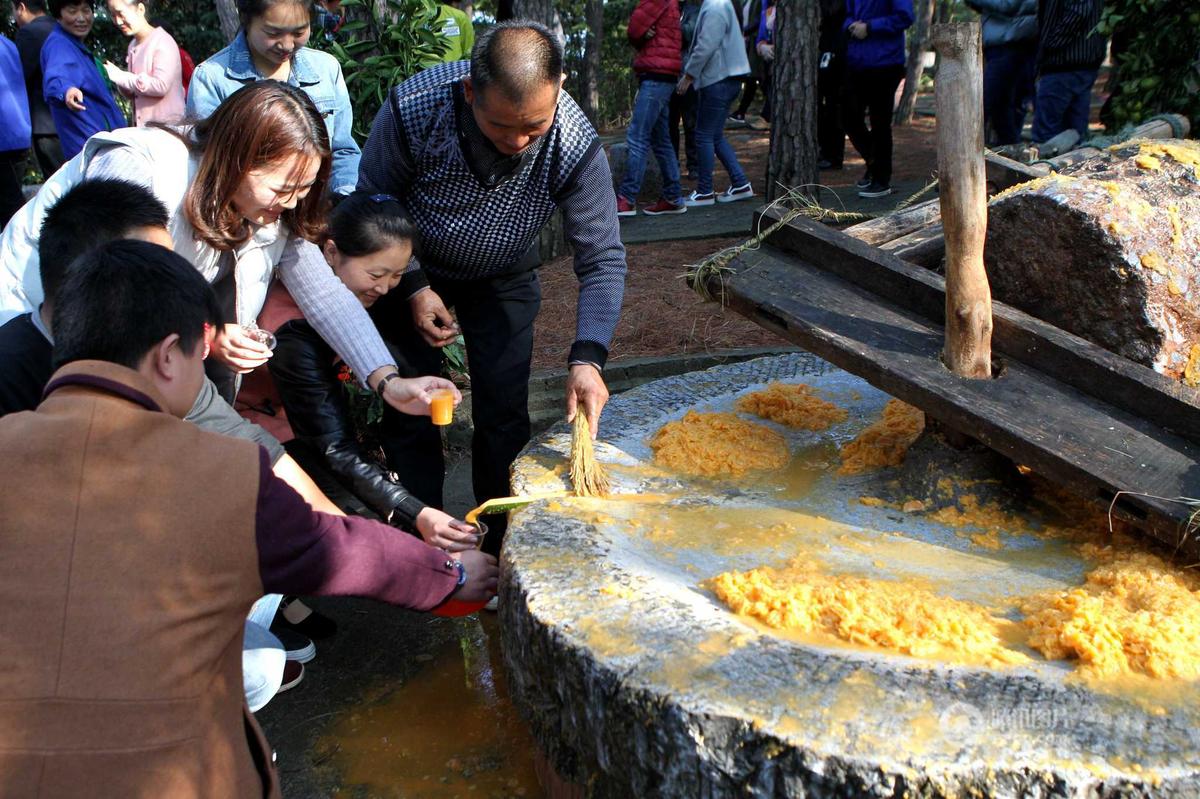 河南老农赶毛驴拉石压桔汁 引上百人围观品尝(图)