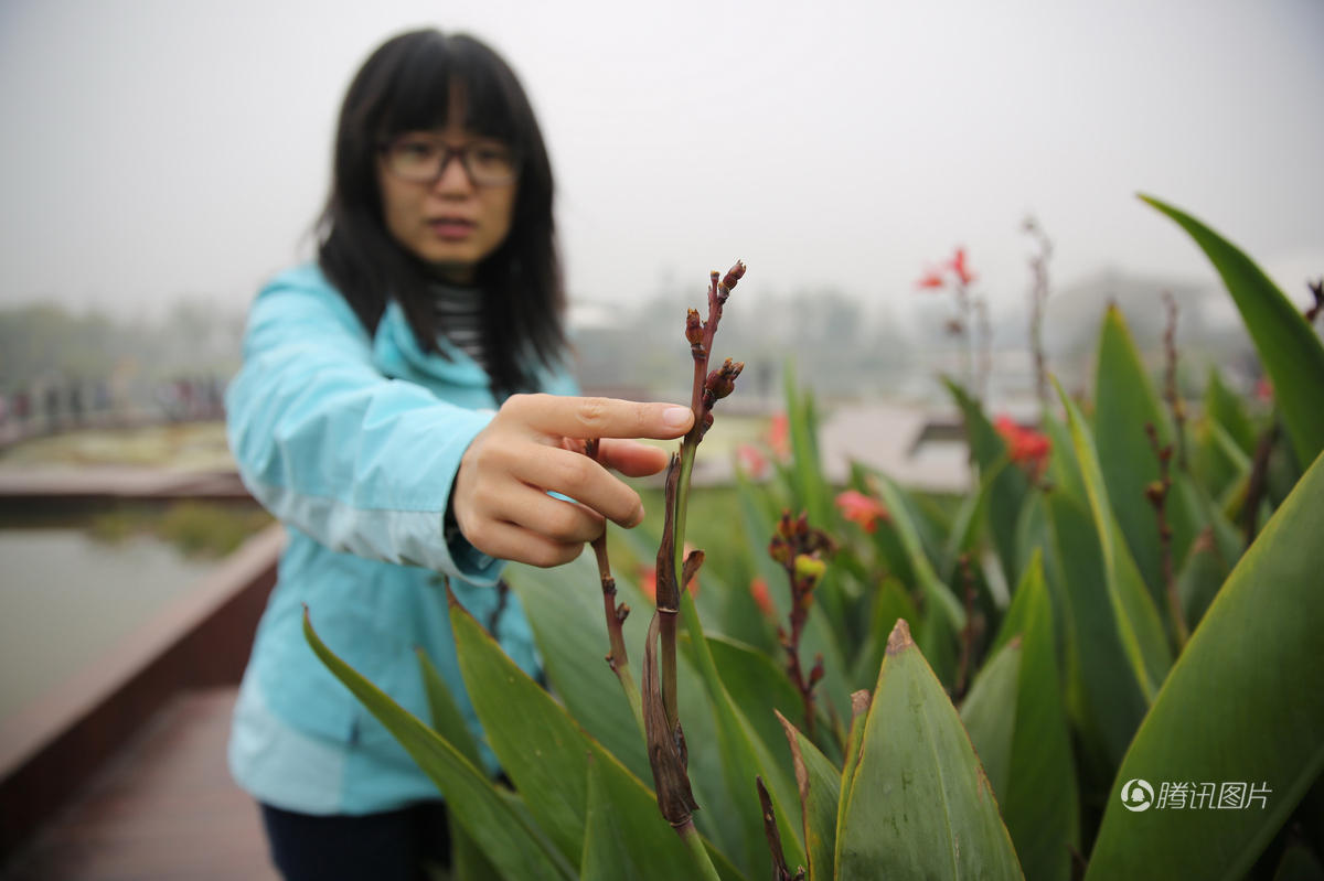西安投资上亿植物园开园一月伤痕累累(高清组图)