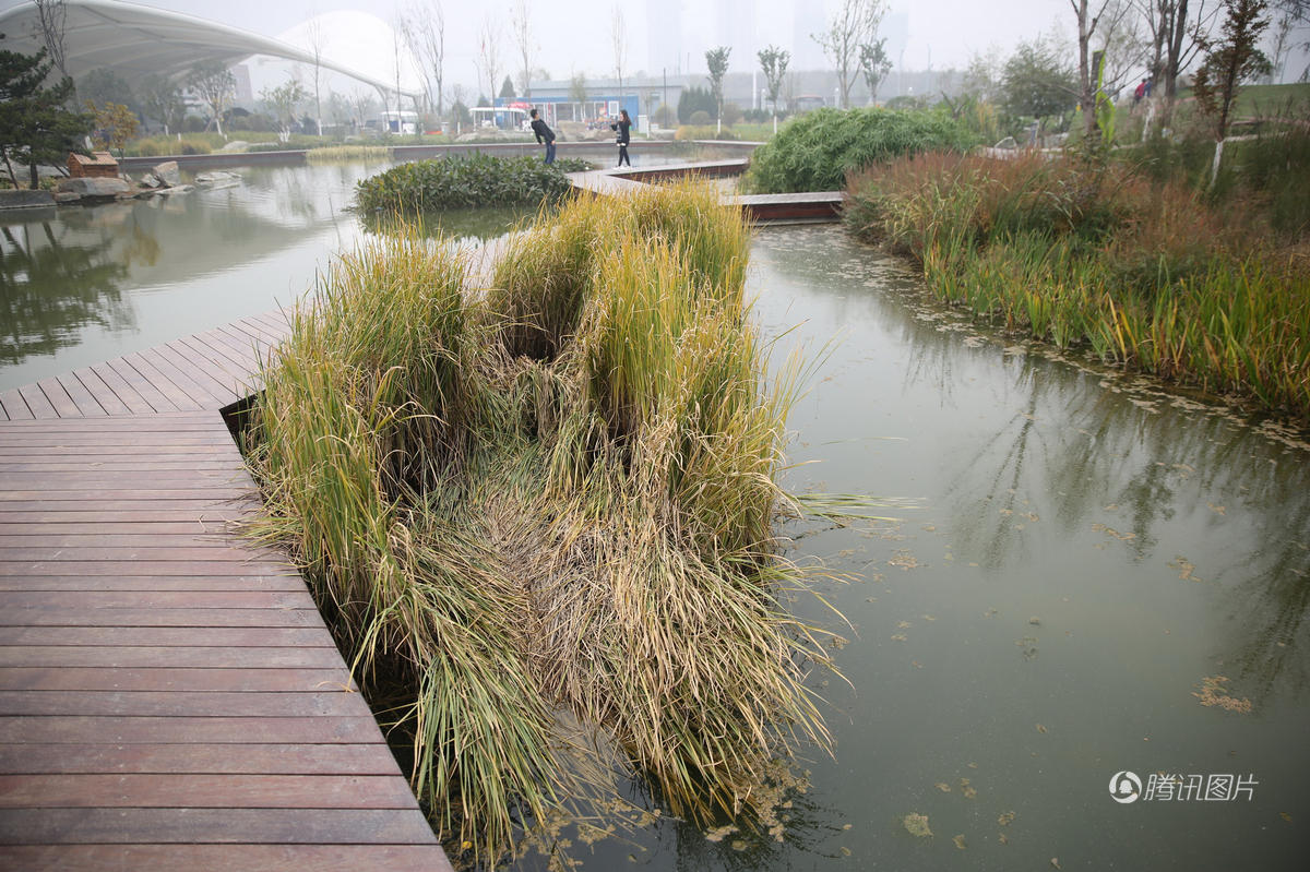 西安投资上亿植物园开园一月伤痕累累(高清组图)