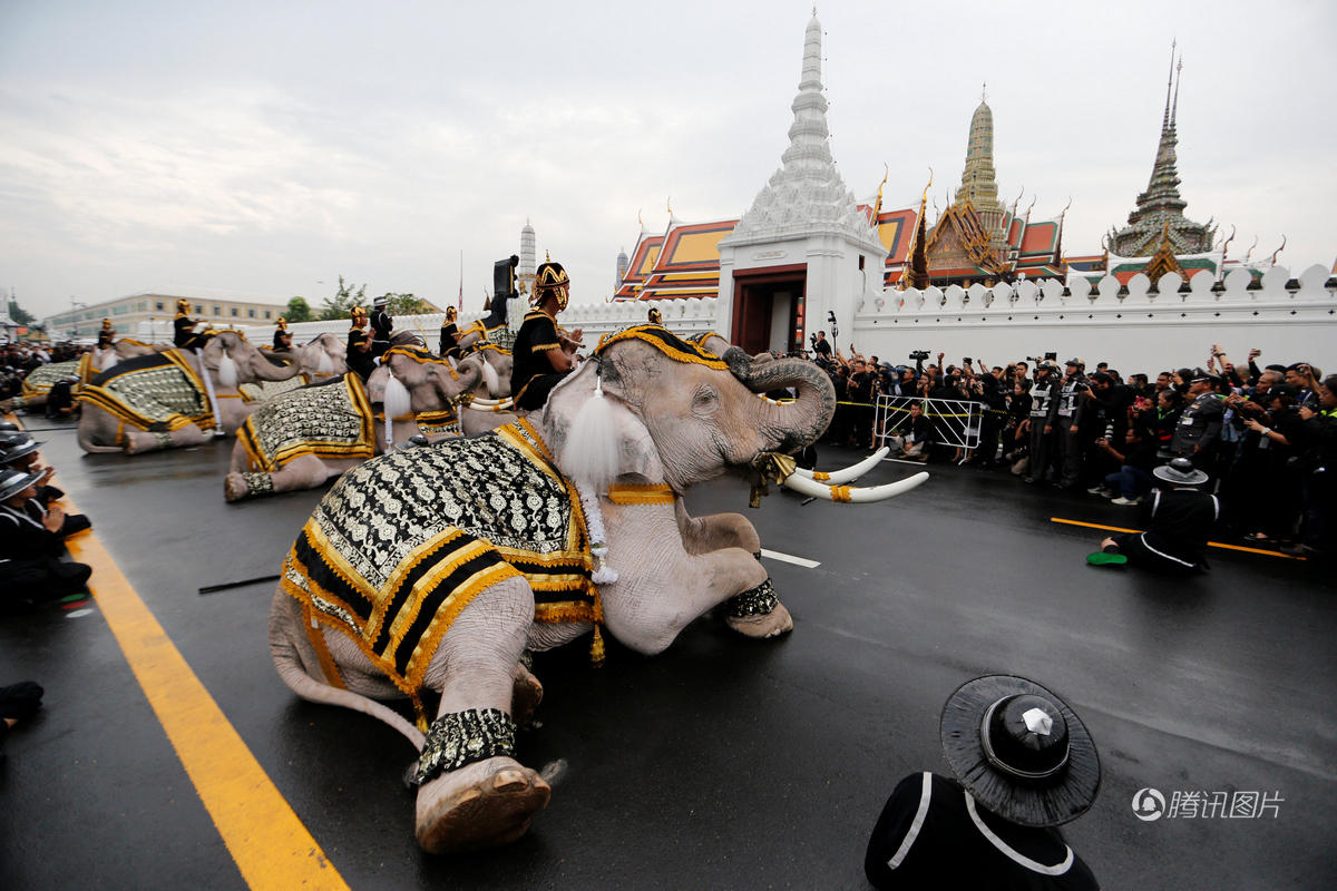 曼谷景點 》三頭象神博物館｜曼谷網美景點，超巨大三頭象神！ @大手牽小手。玩樂趣