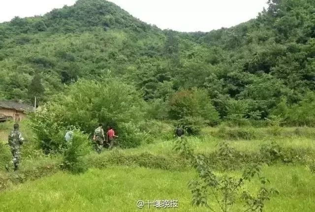 房县有多少人口_房县人,尧治河5D玻璃桥,258米透明悬空 你敢来吗