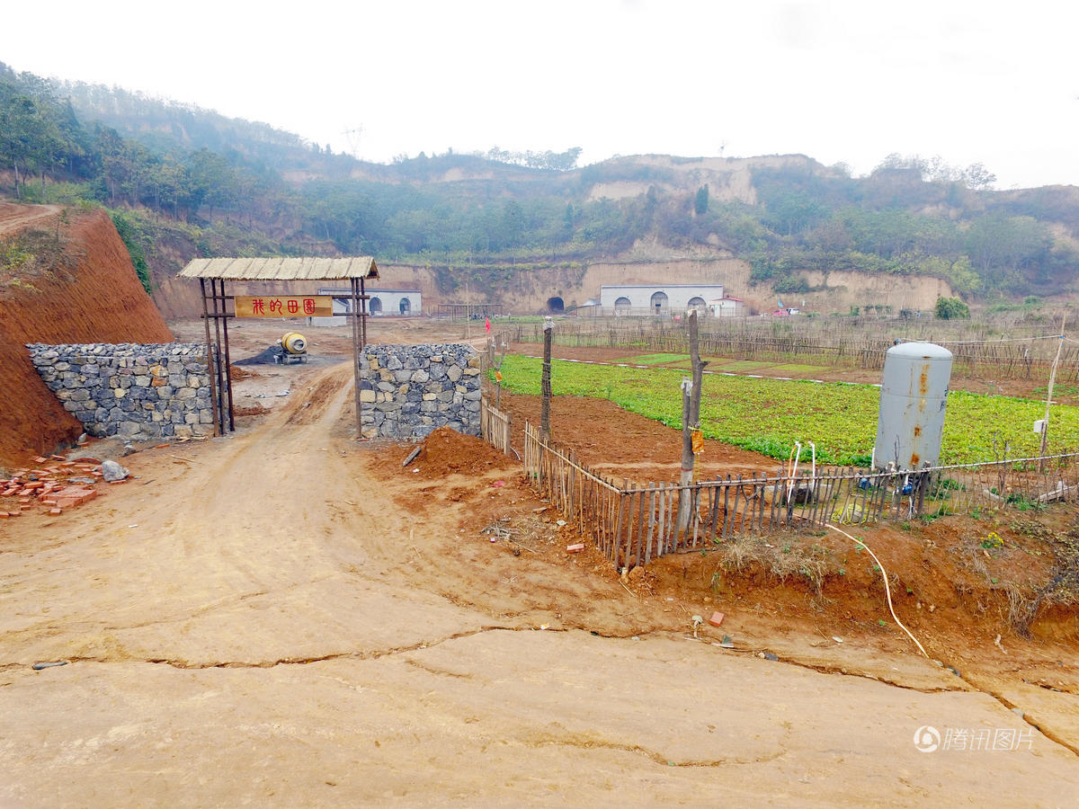 80后姑娘弃城市百万住房 回农村种地住窑洞(组图)