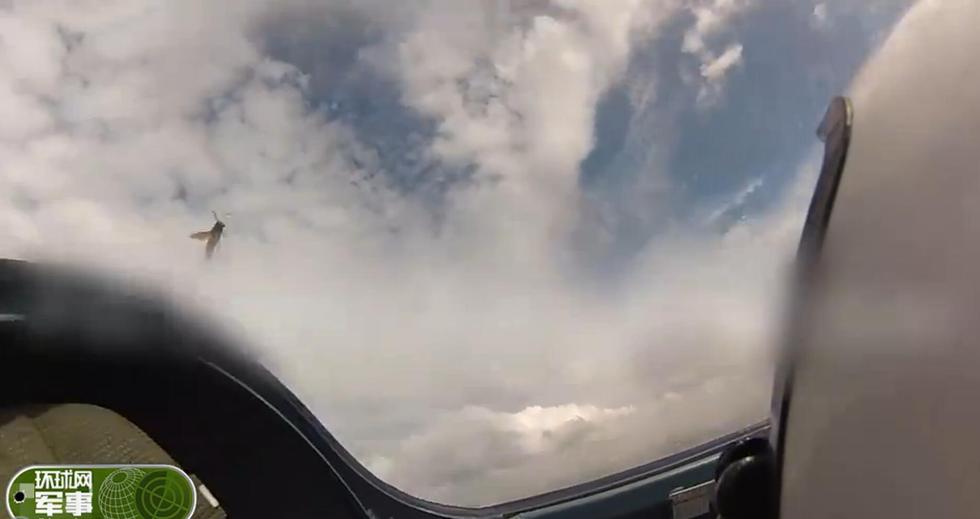 组图:越南苏30座舱中飞进一只黄蜂