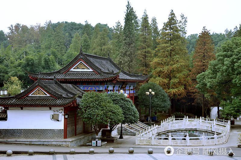 跑到外面一阵猛拍,余兴未尽,第二天早上又到附近的青龙山公园拍了几张