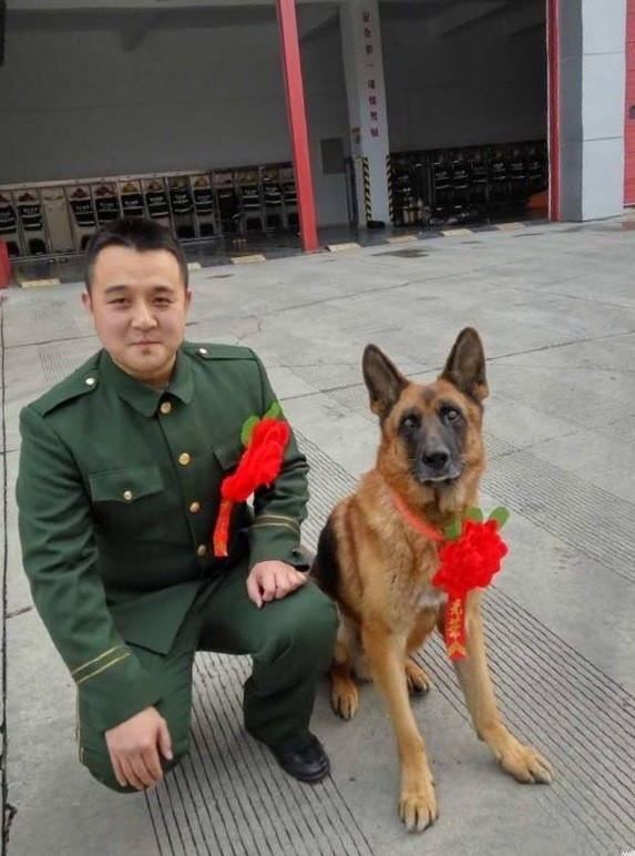 组图:老兵希望带老军犬一同退役 已被批准