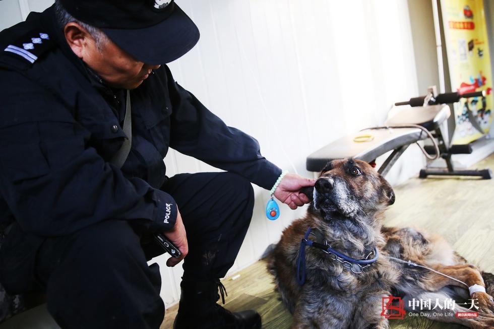 民警老白和他守护的“警犬养老院”(高清组图)
