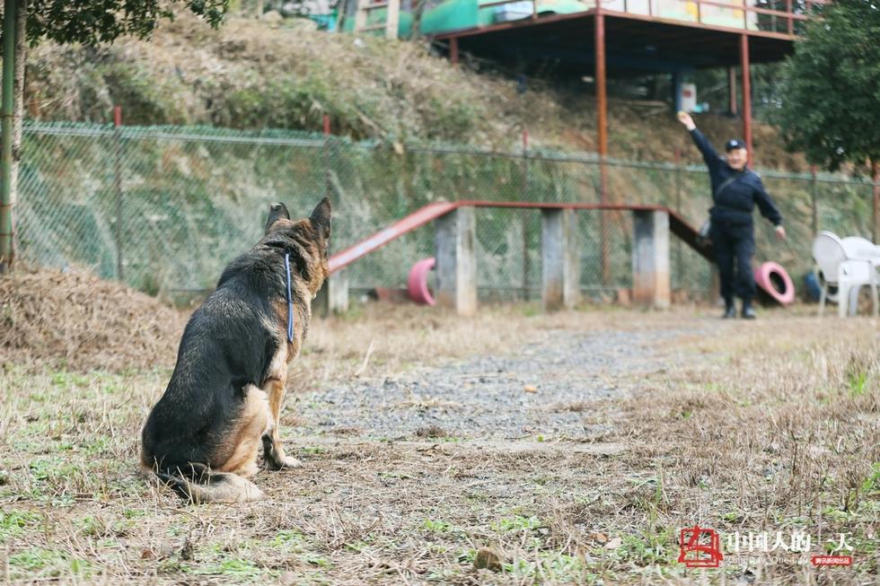 民警老白和他守护的“警犬养老院”(高清组图)