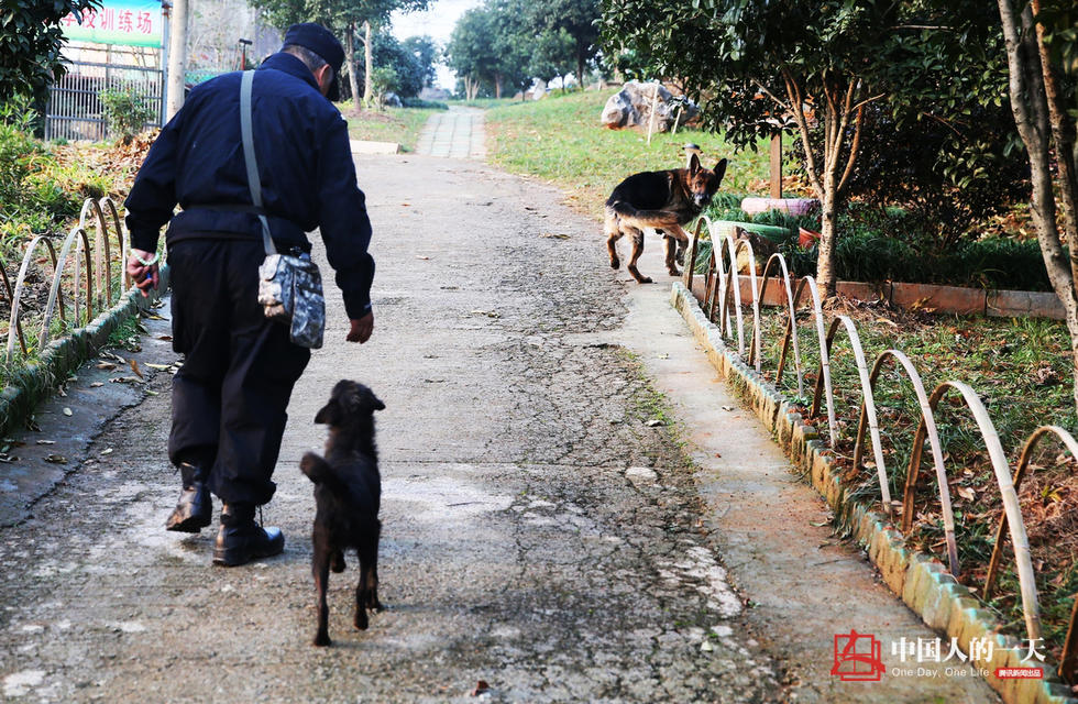 民警老白和他守护的“警犬养老院”(高清组图)