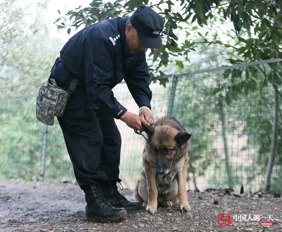 民警老白和他守护的“警犬养老院”(高清组图)