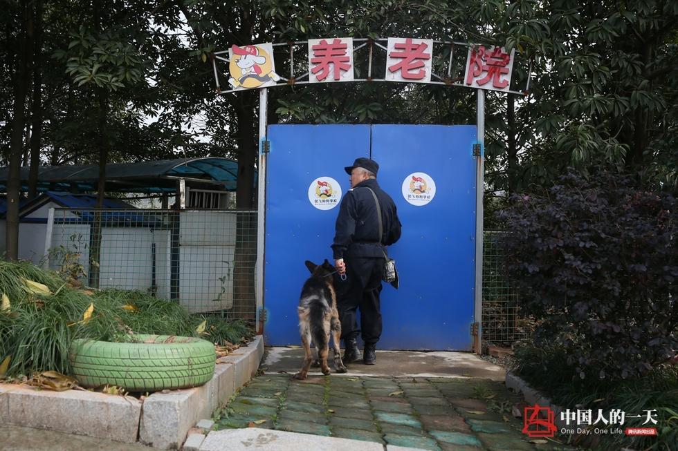 民警老白和他守护的“警犬养老院”(高清组图)