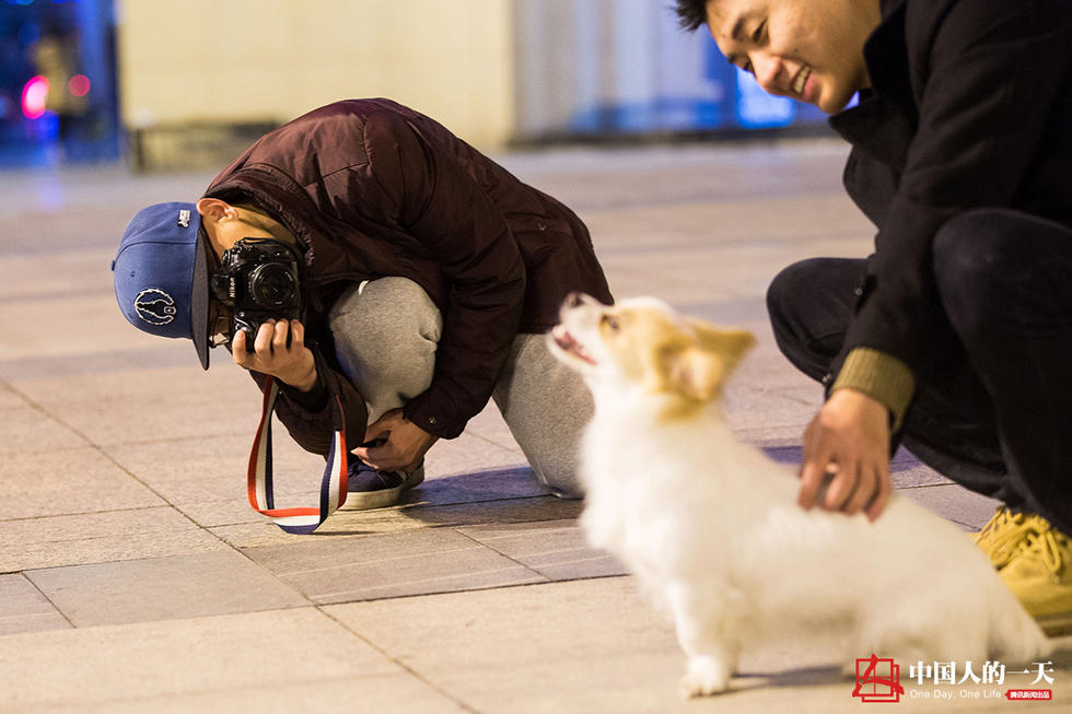 中国人的一天:宠物摄影师的双城爱恋