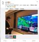 499999算什么？王思聪为了玩还买过...