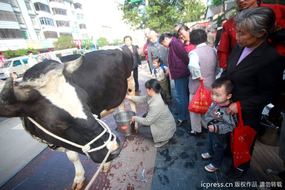 阿根廷企鹅宝宝患罕见脱毛症变裸体企鹅 - 簸来