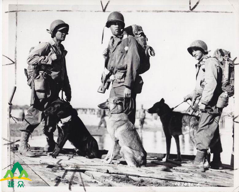 国家记忆--美国国家档案馆中缅印战场影像展