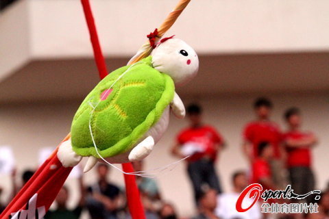 组图:河南球迷抢挑绿毛龟 大骂北京媒体缺德-组