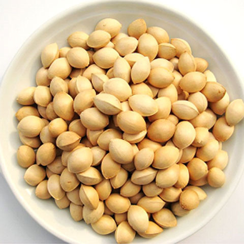 2147829_500x500_0.jpg