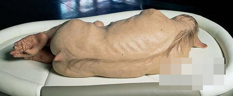 身体密码奇异俄罗斯猪人