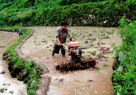 铁牛、水牛齐上阵 綦江村民雨后抢种忙
