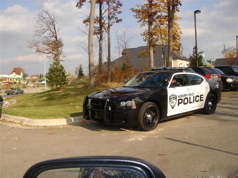 policeinterceptor给人留下的印象颇为深刻,尤其是4人赛车那一段,疯狗
