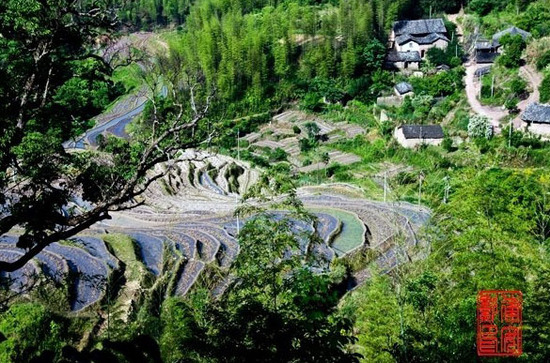闽浙交界星溪乡念山梯田 田园如歌_景区汇总_