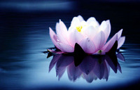 毕业季最催泪的10首歌