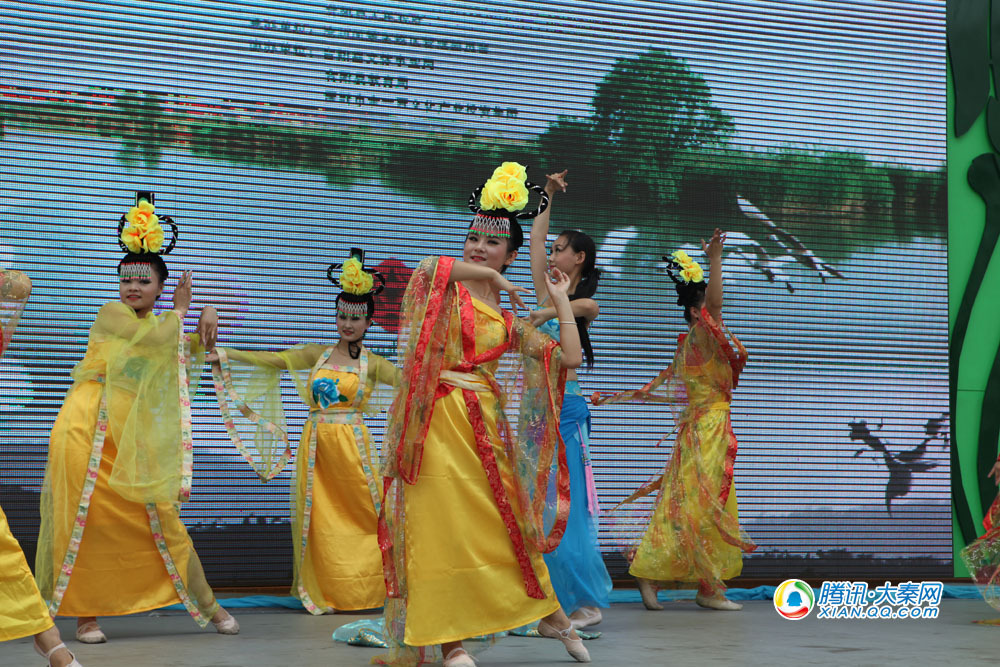 \关关雎鸠,在河之洲,窈窕淑女