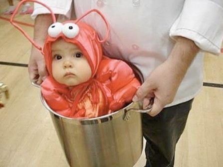 宝宝趣图之搞怪从童年开始