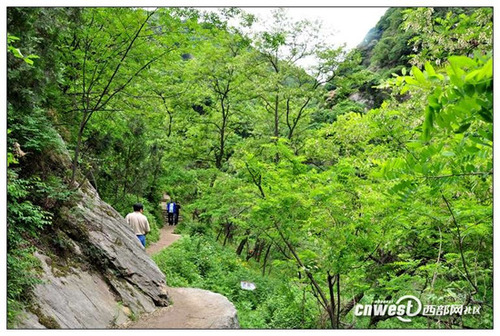 西安周边避暑游 曲峪金龙峡风景区