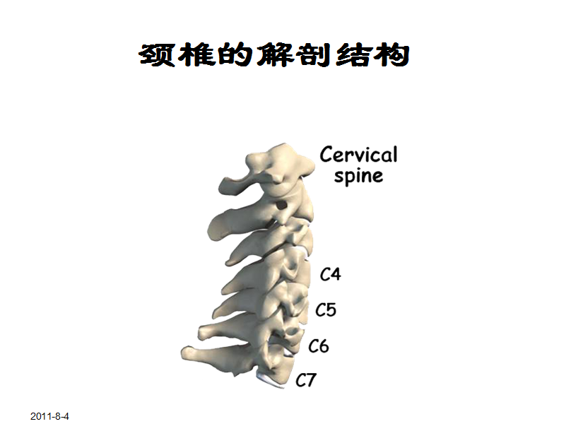 独家:四医大学专家图解颈椎病的预防与保健