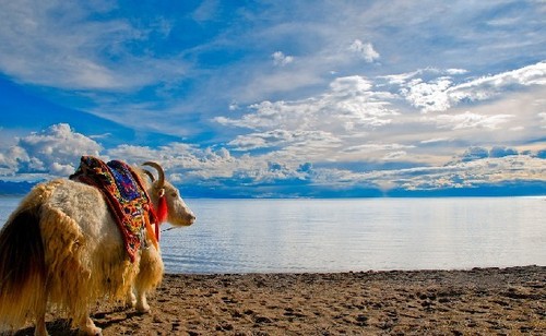 ��������һ��