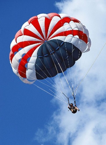 2503521_500x500_0.jpg