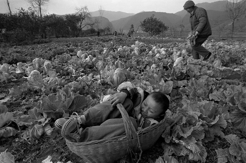 组图:解海龙希望工程纪实摄影精选_新闻_腾讯网