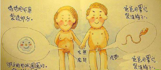 香港幼儿园性教育教材里的插图_图说教育