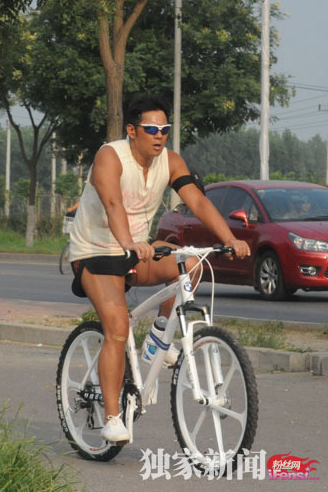 2547549_1200x1000_0.png