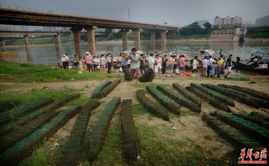 湖北农村人口_湖北农村户口要取消,农民的土地怎么办 红安人必看....(2)