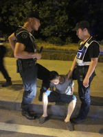 冰毒化妆成蓝莓馅饼 警方设卡生擒毒贩