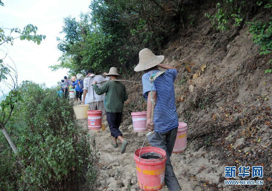 隆林县有多少人口_隆林县图片(2)