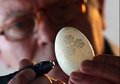 Eggshell karşılaşma sanatçılar
