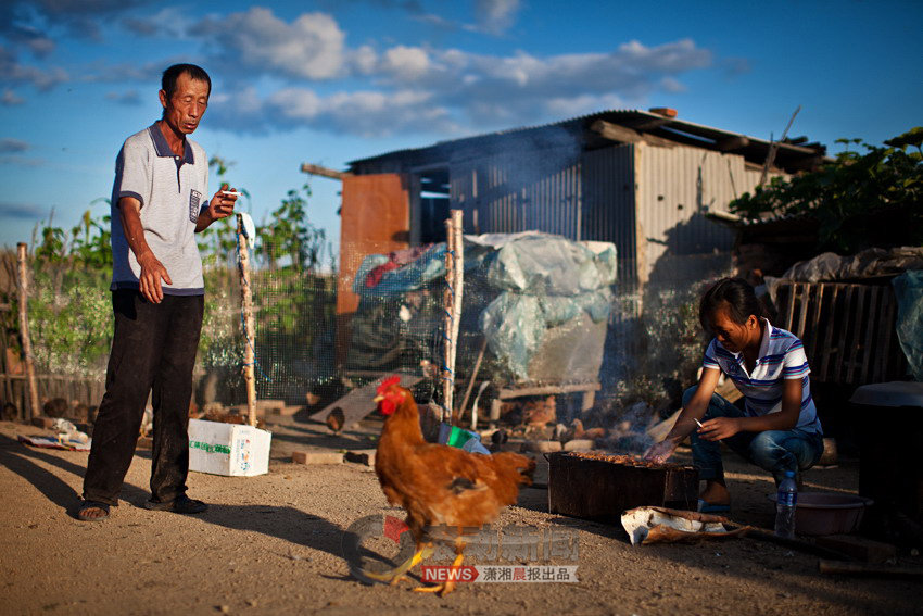 农民种地图片_种地一年收入(2)
