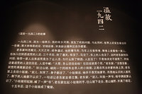����鿴��10��ͼƬ