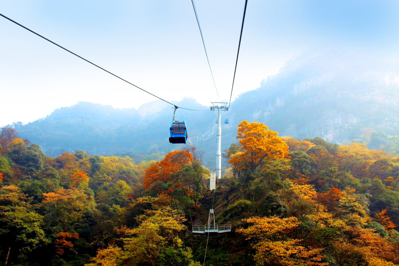 此时此刻 金佛山非常出彩