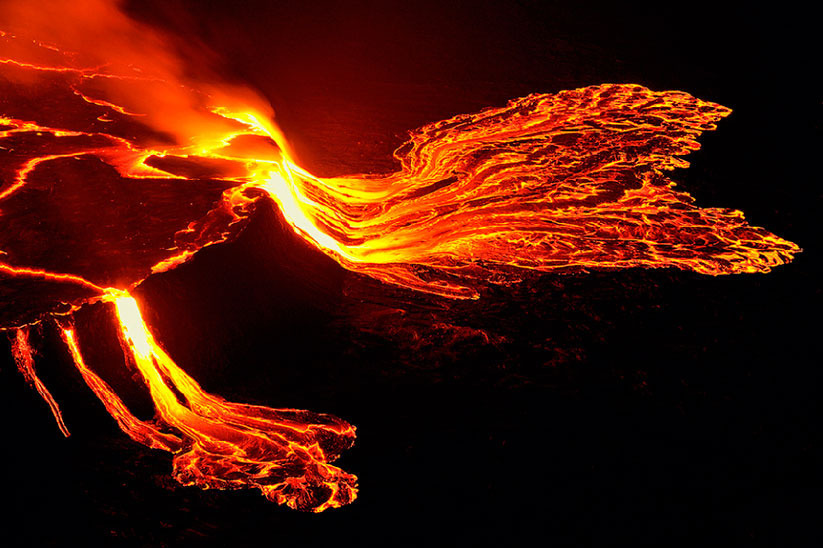 2889626_980x1200_0.jpg