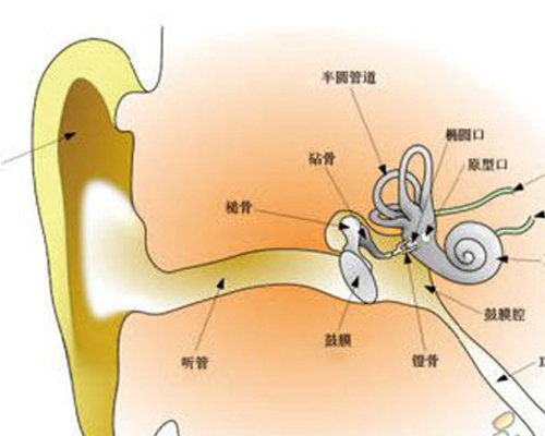 存在不足