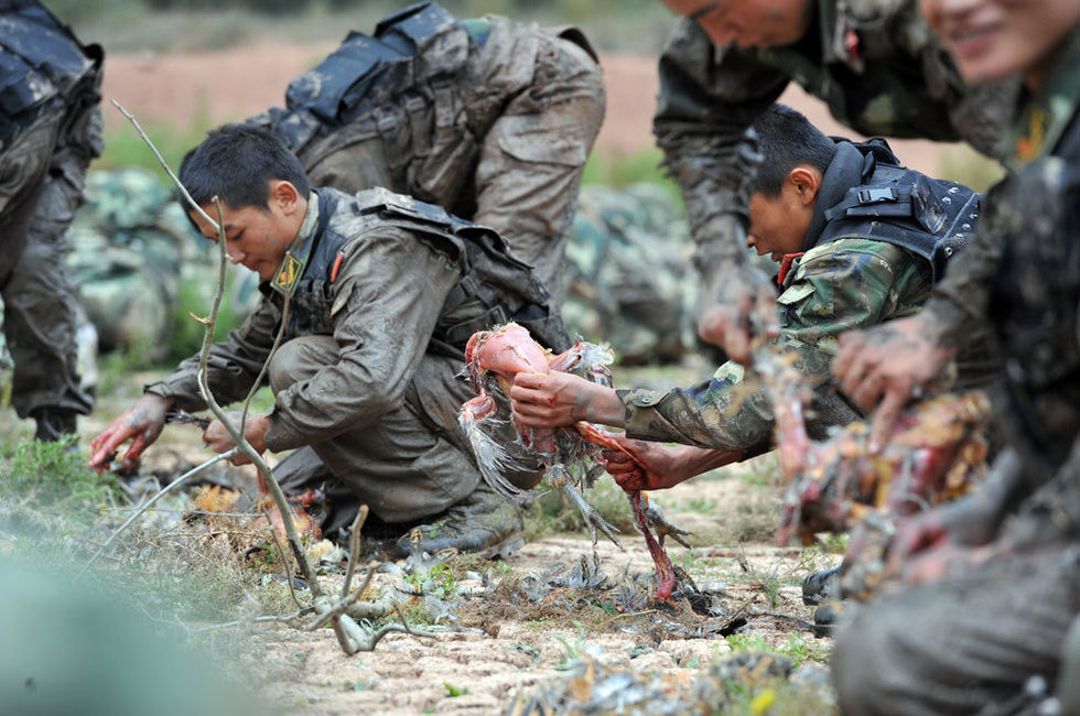 11月4日下午,武警云南总队特战队员进行野外生存训练,吃生肉充饥.