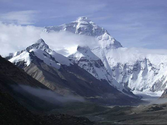 2947435_1200x1000_0.png